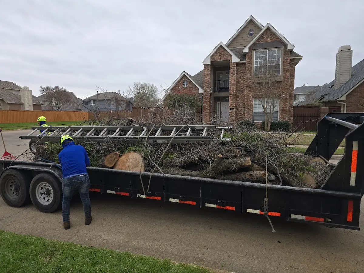 Expert Tree Removal with proper safety equipment in Morris Chapel